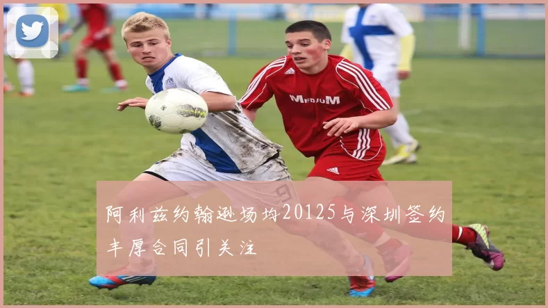阿利兹约翰逊场均20125与深圳签约丰厚合同引关注